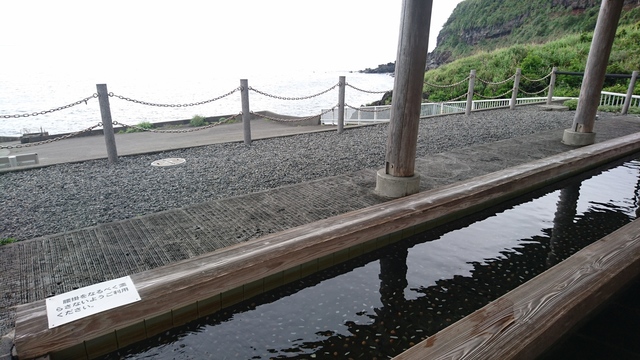 2017-05-25 14.43.09.jpg