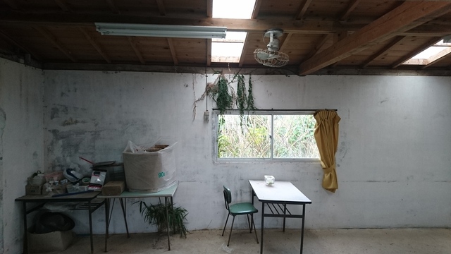 2017-05-25 16.33.47.jpg