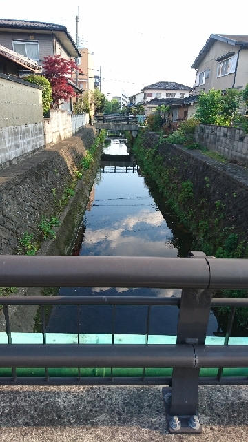 20170429205039323.jpg