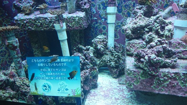 DSC_1426.jpg