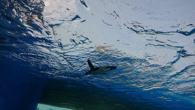 DSC_1436.jpg