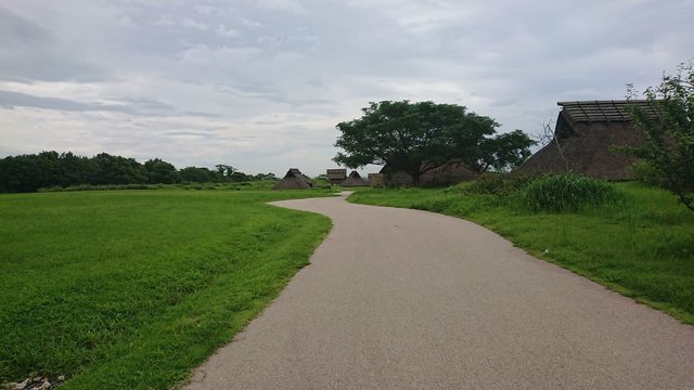 DSC_2527.jpg