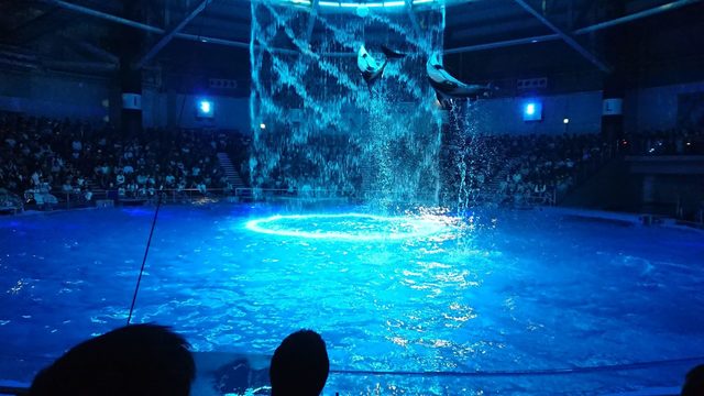 DSC_2684.jpg