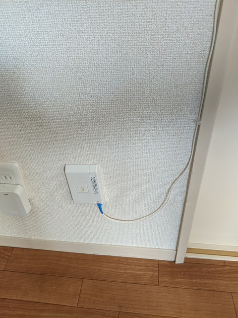 PXL_20201028_224857250.jpg