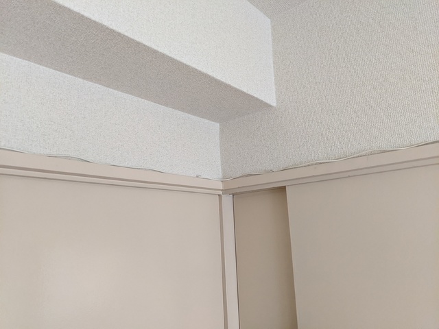 PXL_20201028_224903440.jpg