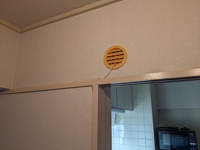 PXL_20201028_224913603.jpg