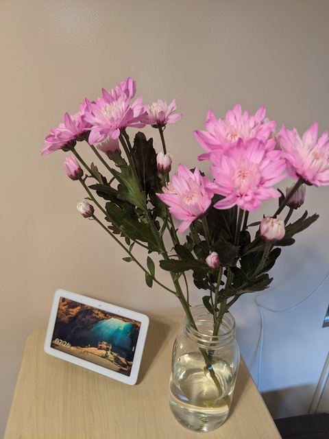 PXL_20201207_222604324.jpg