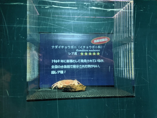 PXL_20201227_035309694.jpg