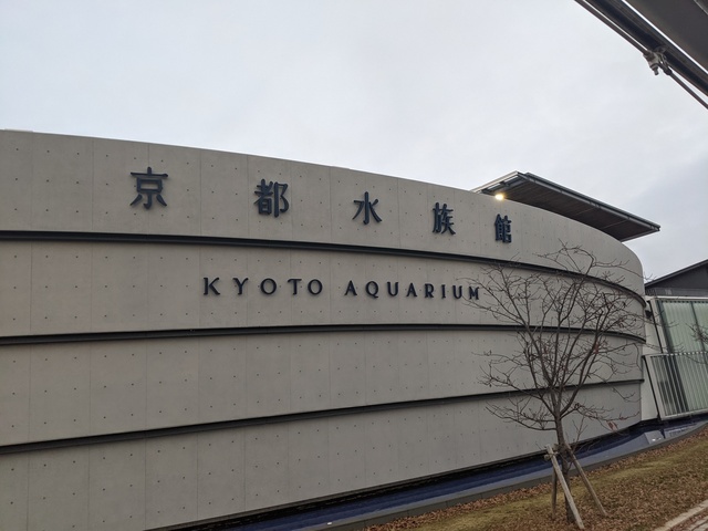PXL_20210101_075633259.jpg